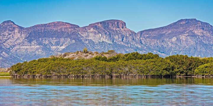 La Paz 7 Day Itinerary