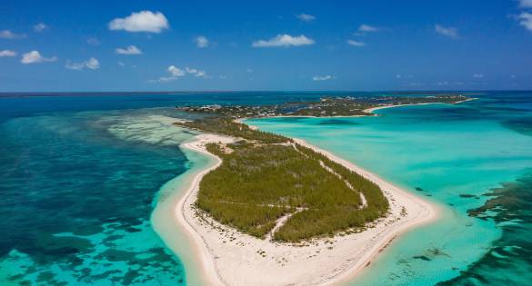 Abacos
