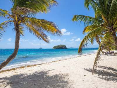 Caribbean Spring Special