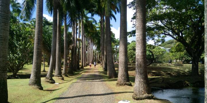 La Pointe Marin/ Marina Le Marin