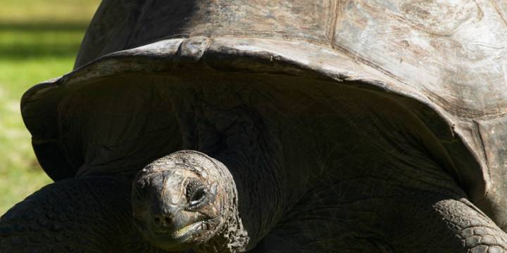 Seychelles Sailing Itinerary