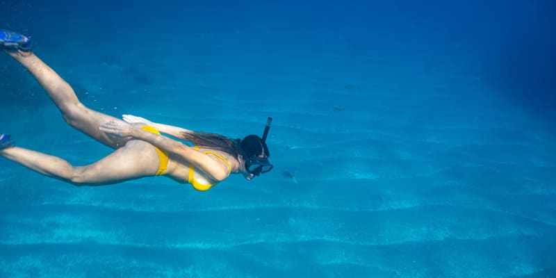 Snorkeling in St Martin