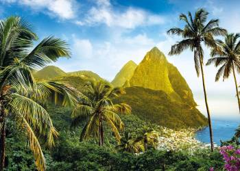 Palm trees and mountains