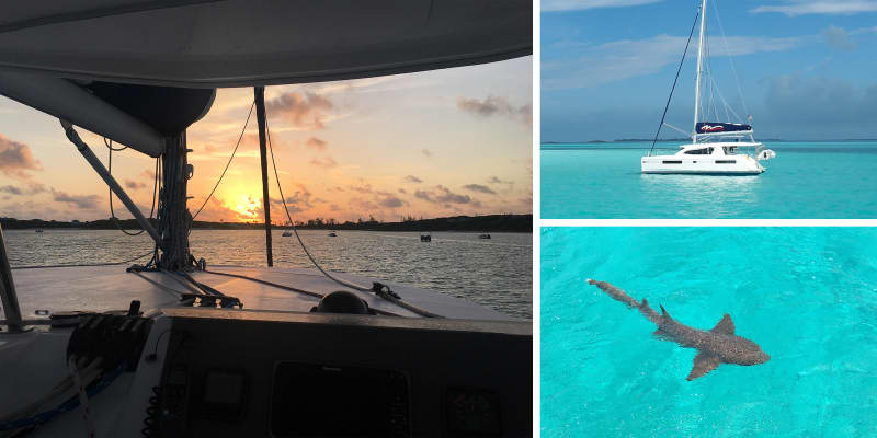 Moorings catamaran and nursery shark in the Exumas