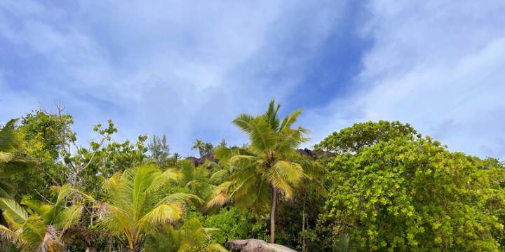 Seychelles Sailing Itinerary