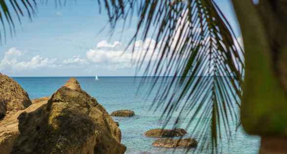 Grenada Catamaran Charter